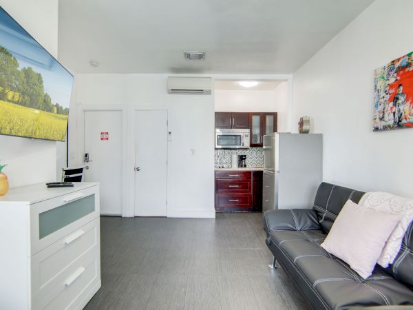 A modern living room features a TV, a sofa, artwork, and a small kitchen area with appliances, creating a cozy and functional space.