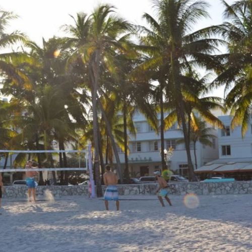 People playing beach volleyball surrounded by palm trees and buildings in the background, under a clear sky.