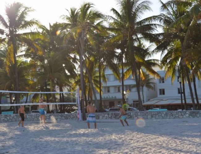 People playing beach volleyball surrounded by palm trees and buildings in the background, under a clear sky.