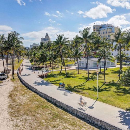 A beachside walkway lined with palm trees and buildings in the background under a blue sky with clouds.