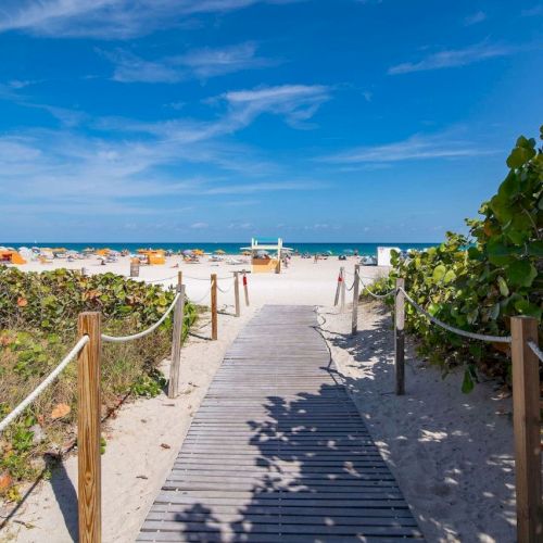A sandy path leads to a beach with sun loungers and umbrellas under a clear blue sky, surrounded by greenery on both sides.