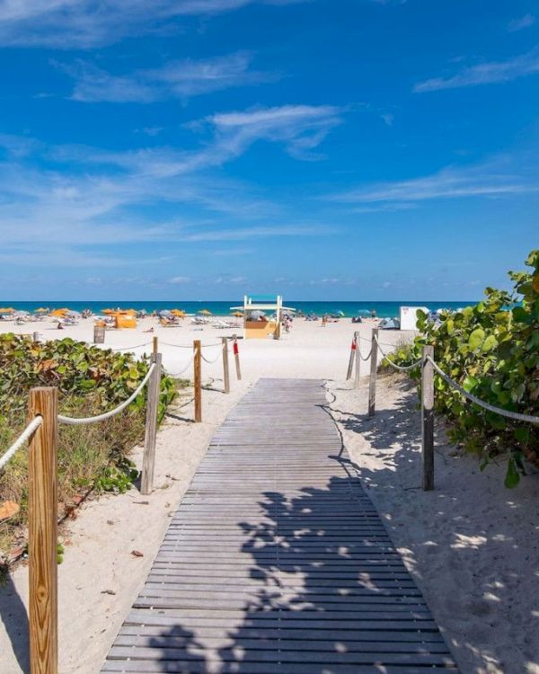 A sandy path leads to a beach with sun loungers and umbrellas under a clear blue sky, surrounded by greenery on both sides.