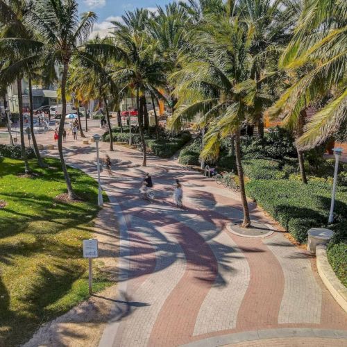 A scenic pathway lined with palm trees and greenery under a sunny sky. Shadows cast on the ground create a serene atmosphere.