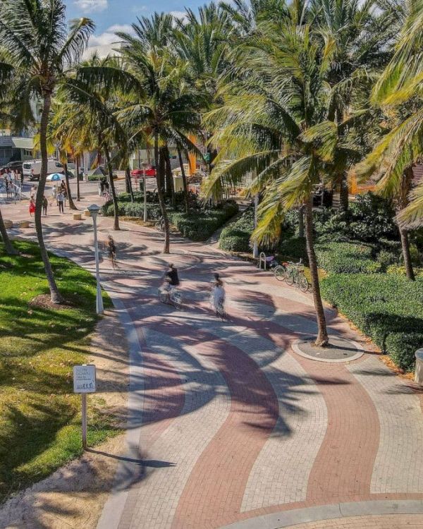 A scenic pathway lined with palm trees and greenery under a sunny sky. Shadows cast on the ground create a serene atmosphere.