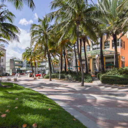 A sunny street scene with palm trees, buildings, and a pathway, suggesting a tropical or coastal location.