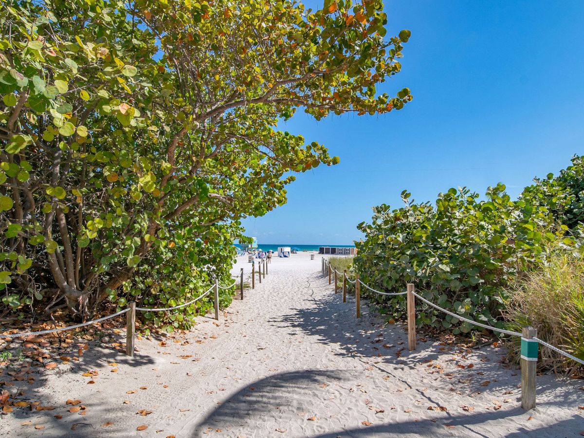A sandy beach pathway flanked by lush greenery, leading to the ocean under a clear blue sky.